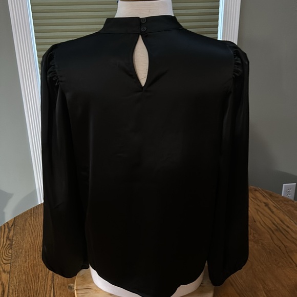 Pleione black dressy blouse. High neck, sheer details, long sleeves. Size Large - Picture 4 of 10